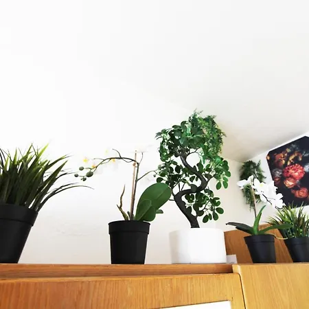 Hotell Downtown - Im Herzen Von & Komfortable Boxspringbetten *